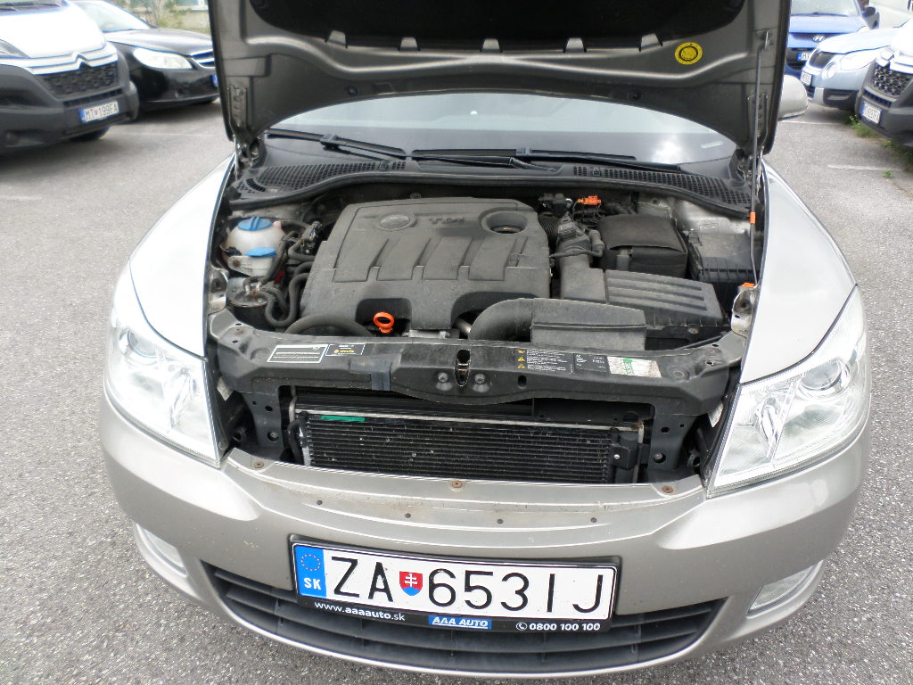 Škoda Octavia 1.6 TDI CR DPF Classic ICE - náhľad